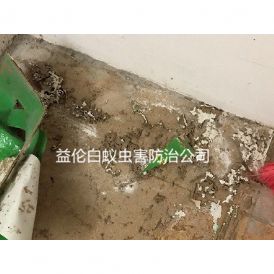 金沙洲中海金沙湾白蚁防治